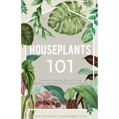 Houseplants 101: How to choose, style, grow and nurture your indoor plants