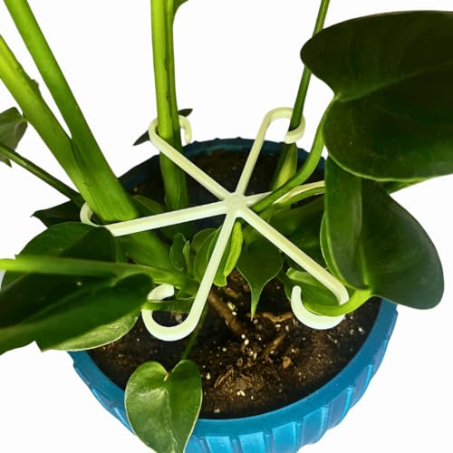 Chatelet Plant Climbers Stem Holders | Unique Design Supports for Growing Plants | 3 Sizes Included for Different Plant Stages | Made in USA (3 Pack, White)