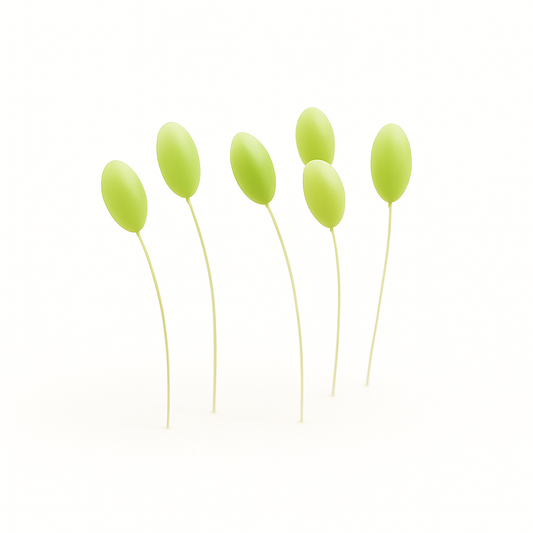 Green Lacewing Eggs