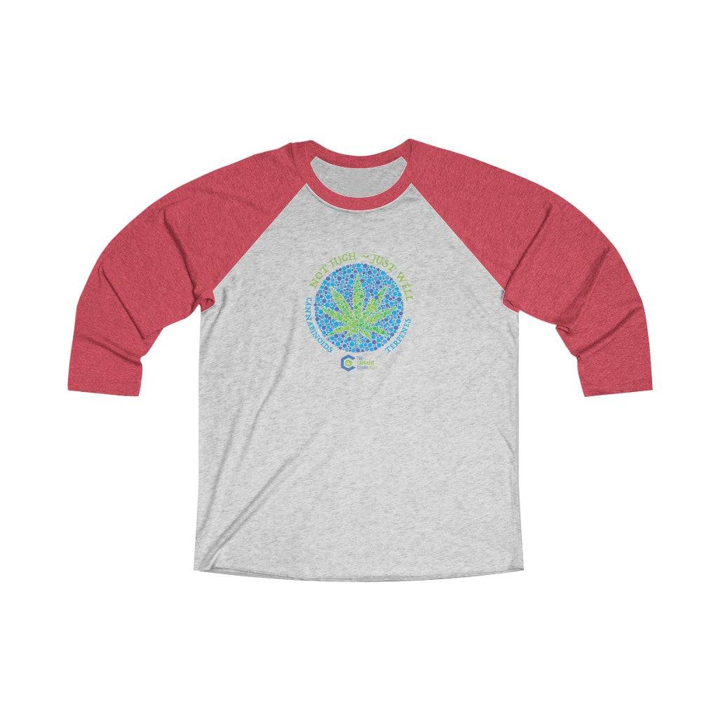 Not High Just Well Tri-Blend Raglan Tee