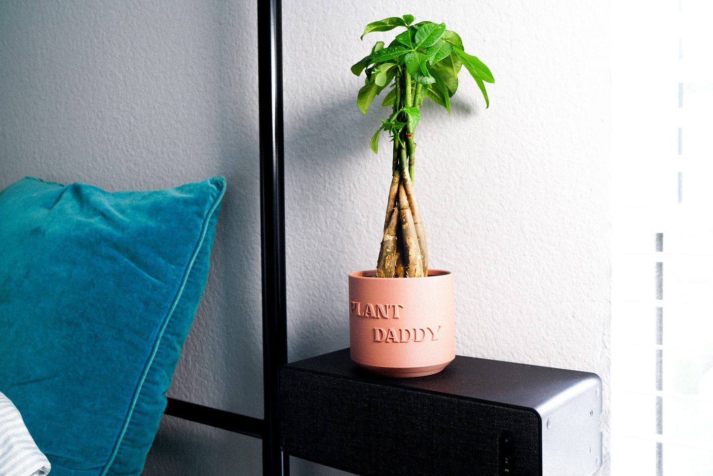Plant Daddy Planter