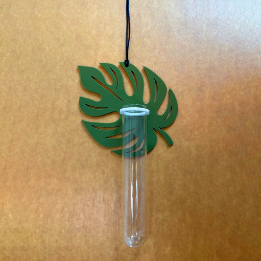 Monstera Leaf Wall Propagation Station