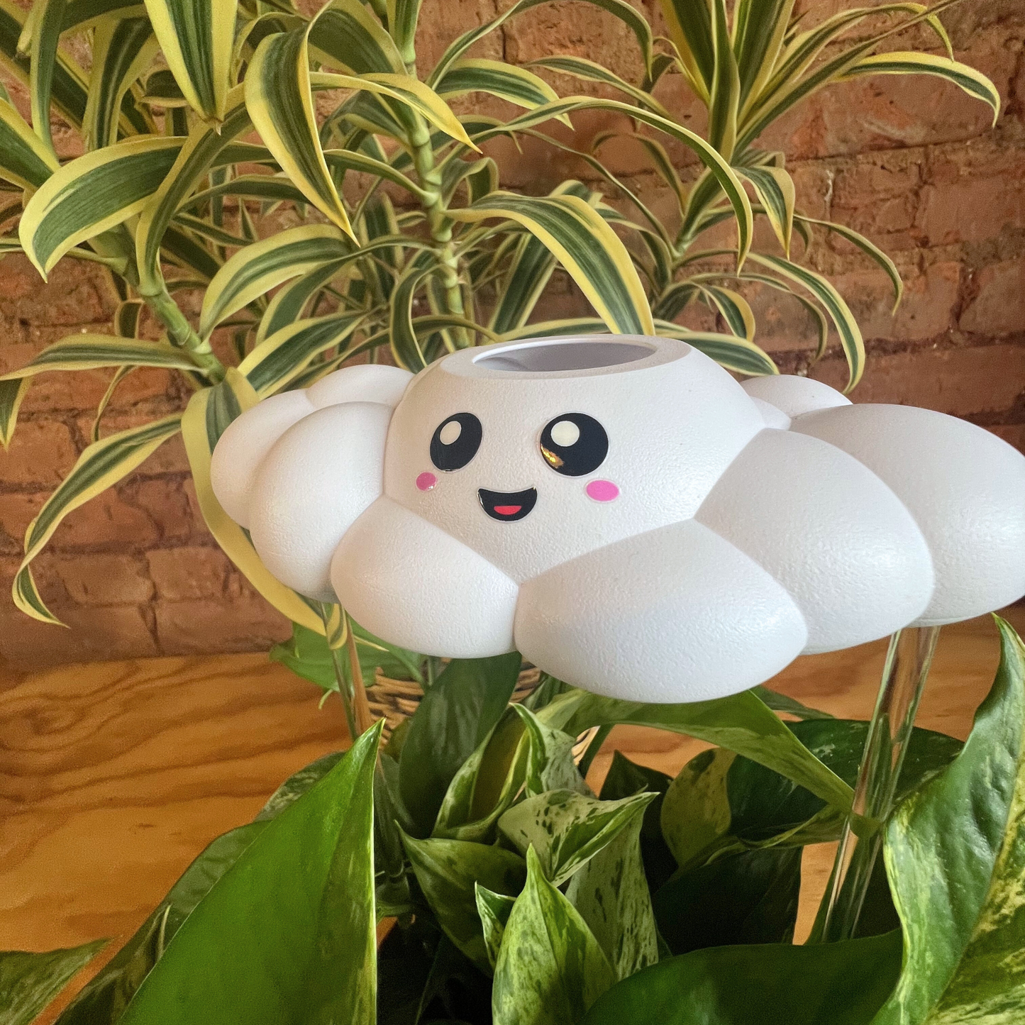 Skylar the Cloud