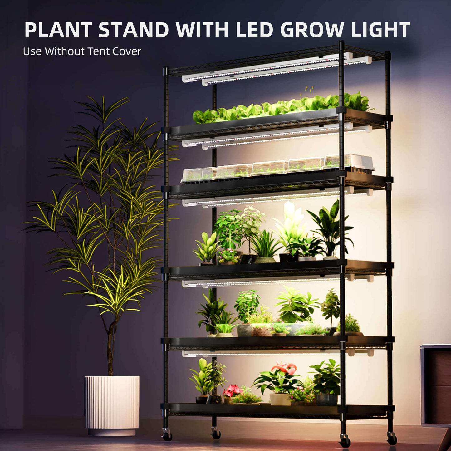Spider Farmer 6 Tier Plant Stand + 10 x 22W LED Lights Bars + 1' 4" x 3' 8" Grow Tent Kit