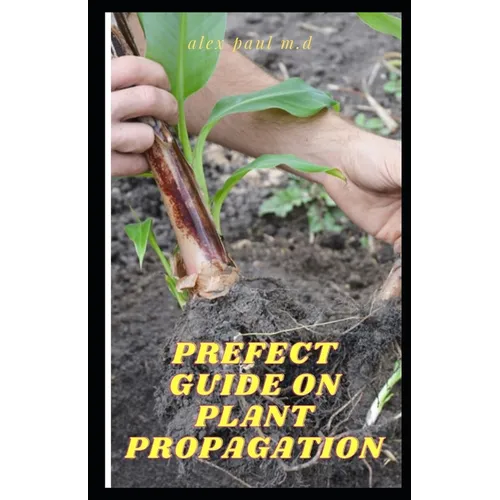 Prefect Guide on Plant Propagation: All Essential Thing You Need to Know about Plant Propagation
